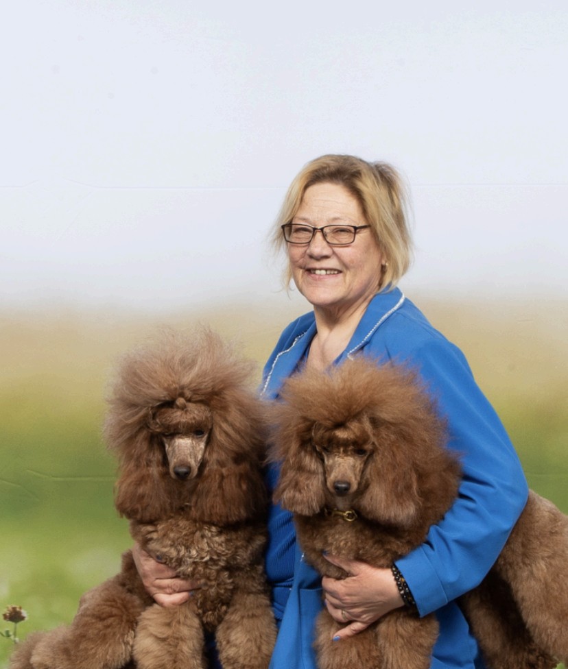 Karol Watson Todd with two of her red miniature poodles at the Antwerp Dog Show 2024